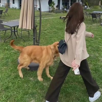 运动鞋